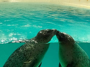 下田海中水族館に投稿された画像（2023/1/6）