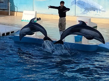 下田海中水族館に投稿された画像（2023/1/6）