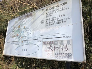 成田の命泉　大和の湯に投稿された画像（2023/1/6）