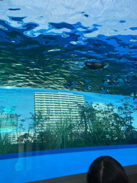 サンシャイン水族館に投稿された画像（2023/1/6）