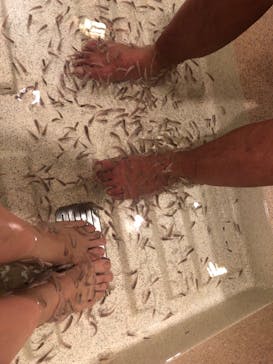 有馬温泉 太閤の湯に投稿された画像（2023/1/6）