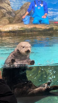 マリンワールド海の中道に投稿された画像（2023/1/6）