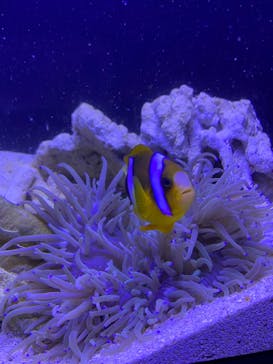 マリンワールド海の中道に投稿された画像（2023/1/6）