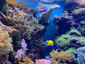 マリンワールド海の中道に投稿された画像（2023/1/6）