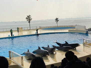 マリンワールド海の中道に投稿された画像（2023/1/6）