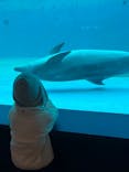 しながわ水族館に投稿された画像（2023/1/6）