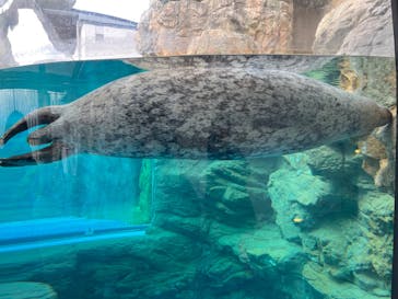 京都水族館に投稿された画像（2023/1/6）