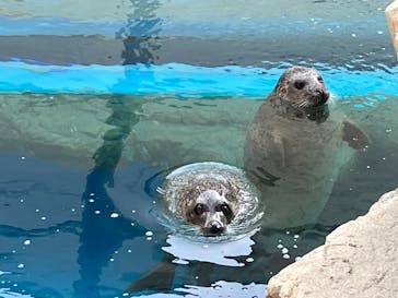 京都水族館に投稿された画像（2023/1/6）