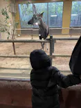 よこはま動物園ズーラシアに投稿された画像（2023/1/6）