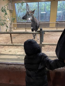 よこはま動物園ズーラシアに投稿された画像（2023/1/6）