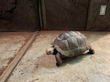 体感型動物園iZooに投稿された画像（2023/1/6）