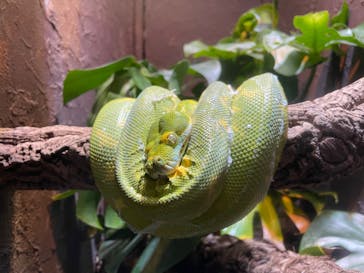 体感型動物園iZooに投稿された画像（2023/1/6）