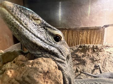 体感型動物園iZooに投稿された画像（2023/1/6）