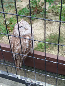天王寺動物園に投稿された画像（2023/1/6）