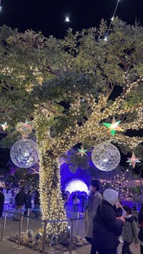 江の島シーキャンドルに投稿された画像（2023/1/6）