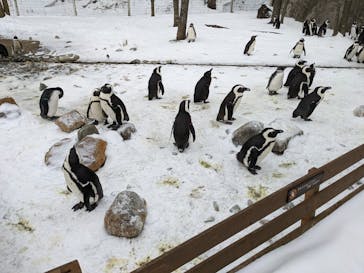那須どうぶつ王国に投稿された画像（2023/1/6）