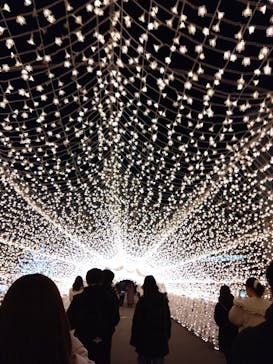 東京メガイルミに投稿された画像（2023/1/6）