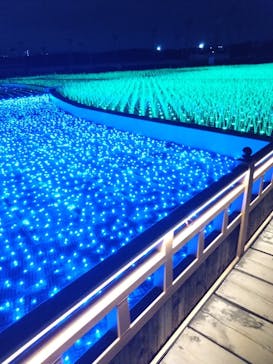 東京メガイルミに投稿された画像（2023/1/6）