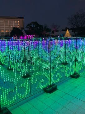 つま恋イルミネーションに投稿された画像（2023/1/6）