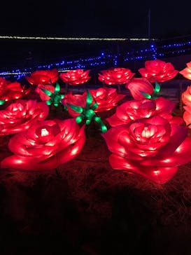 伊豆ぐらんぱる公園に投稿された画像（2023/1/6）