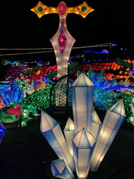 伊豆ぐらんぱる公園に投稿された画像（2023/1/6）