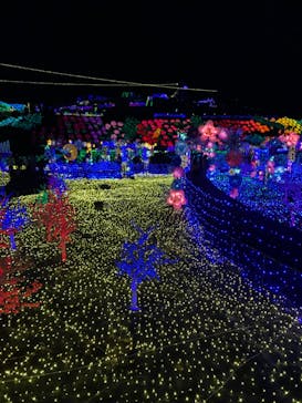 伊豆ぐらんぱる公園に投稿された画像（2023/1/6）