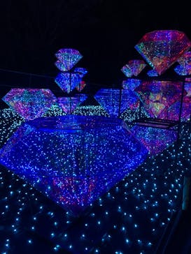 伊豆ぐらんぱる公園に投稿された画像（2023/1/6）