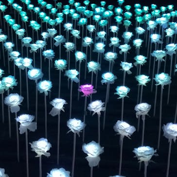 東京メガイルミに投稿された画像（2023/1/6）