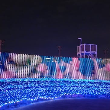 東京メガイルミに投稿された画像（2023/1/6）