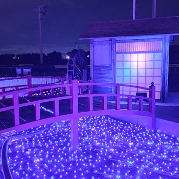 東京メガイルミに投稿された画像（2023/1/6）