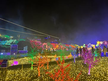 伊豆ぐらんぱる公園に投稿された画像（2023/1/6）