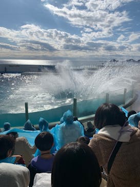 鴨川シーワールドに投稿された画像（2023/1/6）
