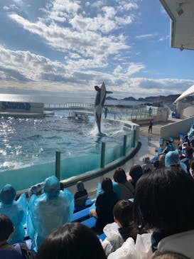 鴨川シーワールドに投稿された画像（2023/1/6）