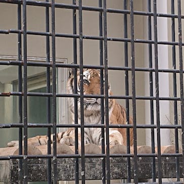 京阪電車に投稿された画像（2023/1/6）