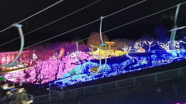 さがみ湖MORI MORIに投稿された画像（2023/1/6）