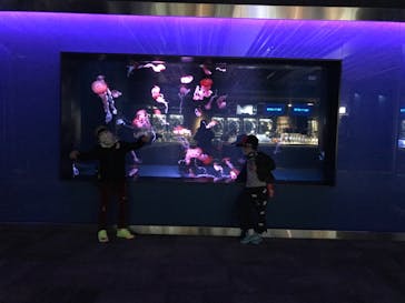 京都水族館に投稿された画像（2023/1/6）