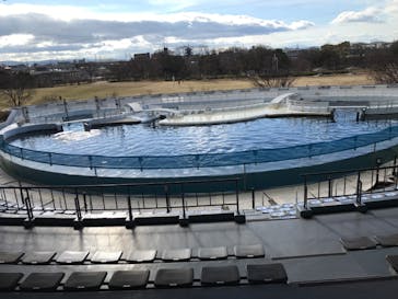 京都水族館に投稿された画像（2023/1/6）