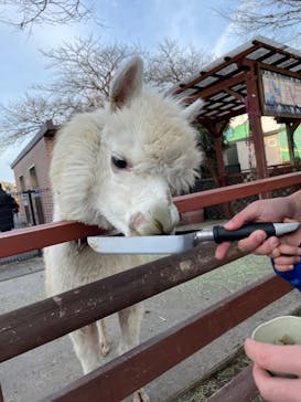 東武動物公園に投稿された画像（2023/1/6）