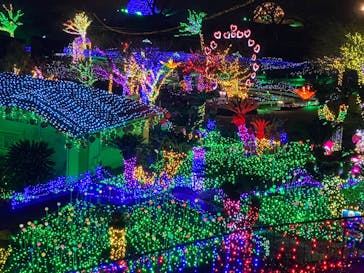 伊豆ぐらんぱる公園に投稿された画像（2023/1/6）