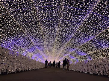 東京メガイルミに投稿された画像（2023/1/6）