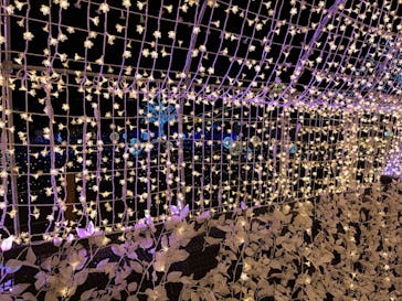 東京メガイルミに投稿された画像（2023/1/6）