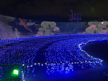 東京メガイルミに投稿された画像（2023/1/6）