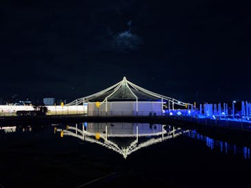 東京メガイルミに投稿された画像（2023/1/6）