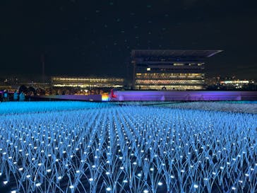 東京メガイルミに投稿された画像（2023/1/6）