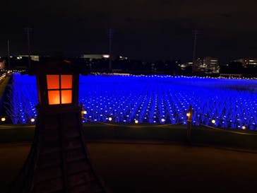 東京メガイルミに投稿された画像（2023/1/6）