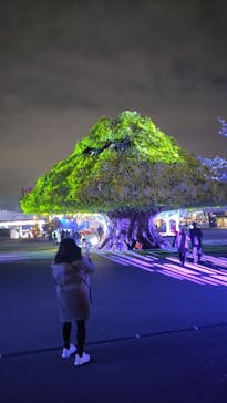 東京メガイルミに投稿された画像（2023/1/6）