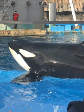 名古屋港水族館に投稿された画像（2023/1/6）