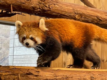 伊豆シャボテン動物公園に投稿された画像（2023/1/6）
