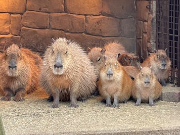 伊豆シャボテン動物公園に投稿された画像（2023/1/6）