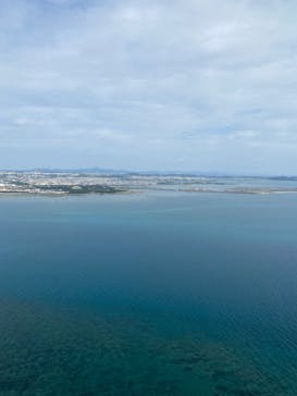 ブルースカイに投稿された画像（2023/1/6）